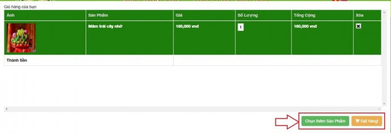 Dịch vụ cúng online 1