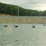 Lạc Hồng Viên tháng 12/2016