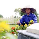Lạc_Hồng_Viên_thuê người tảo mộ