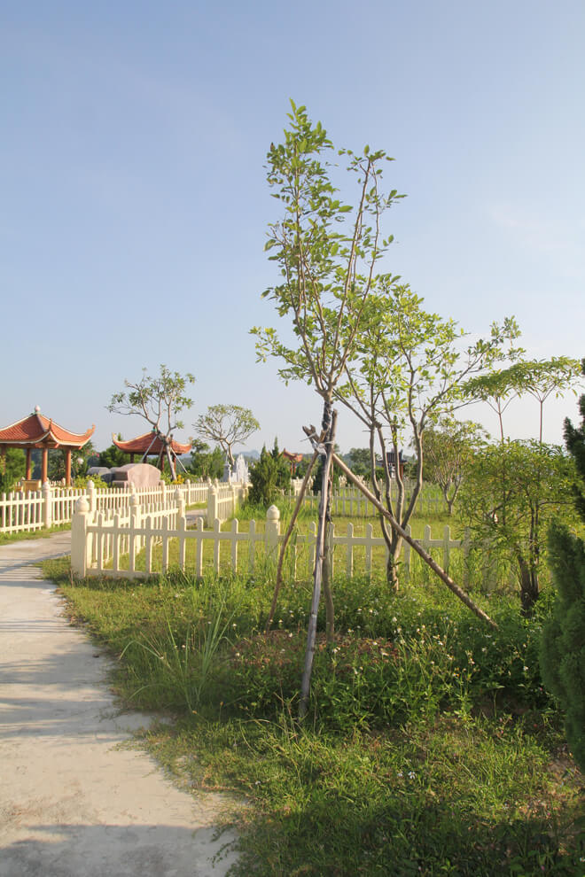 Lạc Hồng Viên tháng 9/2015