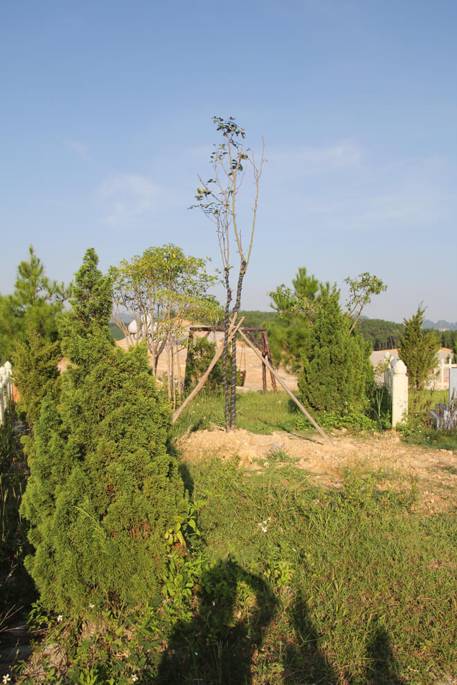 Lạc Hồng Viên tháng 9/2015