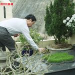 Lạc Hồng Viên tháng 3/2016