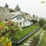 Khuôn viên 50m2
