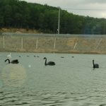 Lạc Hồng Viên tháng 12/2016