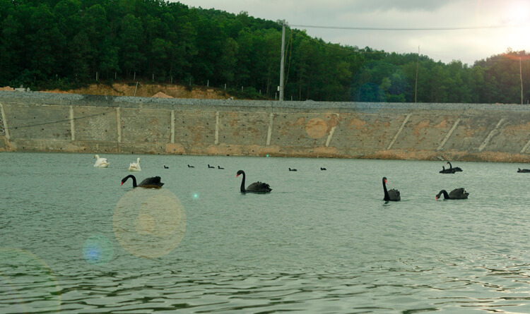 Lạc Hồng Viên tháng 12/2016