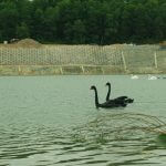 Lạc Hồng Viên tháng 12/2016