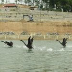 Lạc Hồng Viên tháng 12/2016