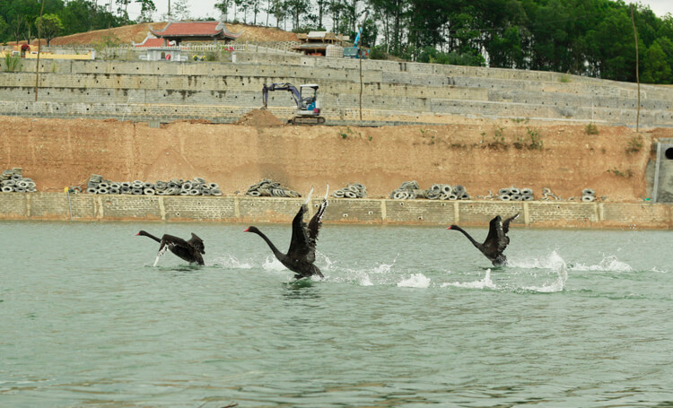 Lạc Hồng Viên tháng 12/2016