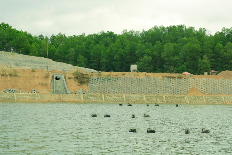 Lạc Hồng Viên tháng 12/2016