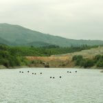 Lạc Hồng Viên tháng 12/2016