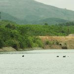 Lạc Hồng Viên tháng 12/2016