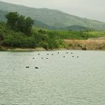 Lạc Hồng Viên tháng 12/2016