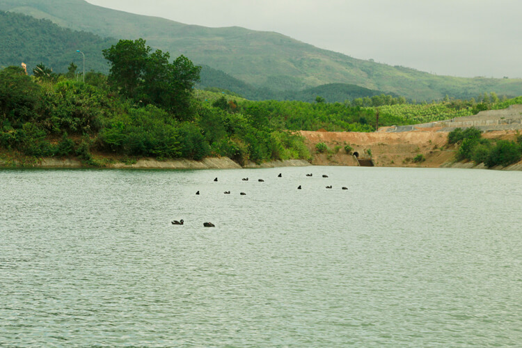 Lạc Hồng Viên tháng 12/2016