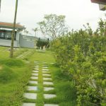 Lạc Hồng Viên tháng 4/2016