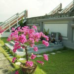 Lạc Hồng Viên tháng 5/2016