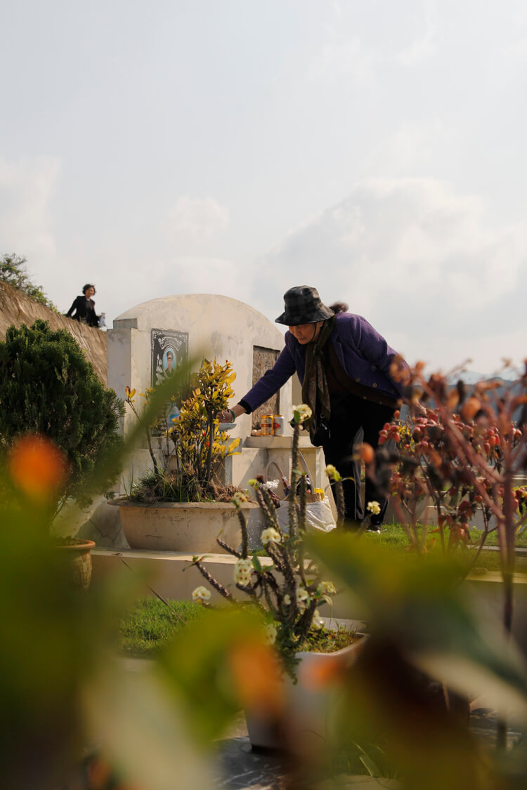 Lạc Hồng Viên tháng 4/2017
