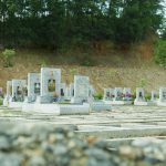 Lạc Hồng Viên tháng 6/2016