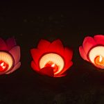 Lạc Hồng Viên tháng 8/2016