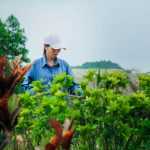 Lạc Hồng Viên tháng 6/2017
