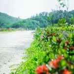 Lạc Hồng Viên tháng 6/2017