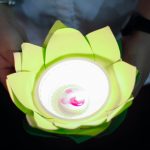 Lạc Hồng Viên tháng 8 /2017