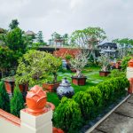 Lạc Hồng Viên tháng 8 /2017