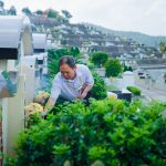 Lạc Hồng Viên tháng 8 /2017