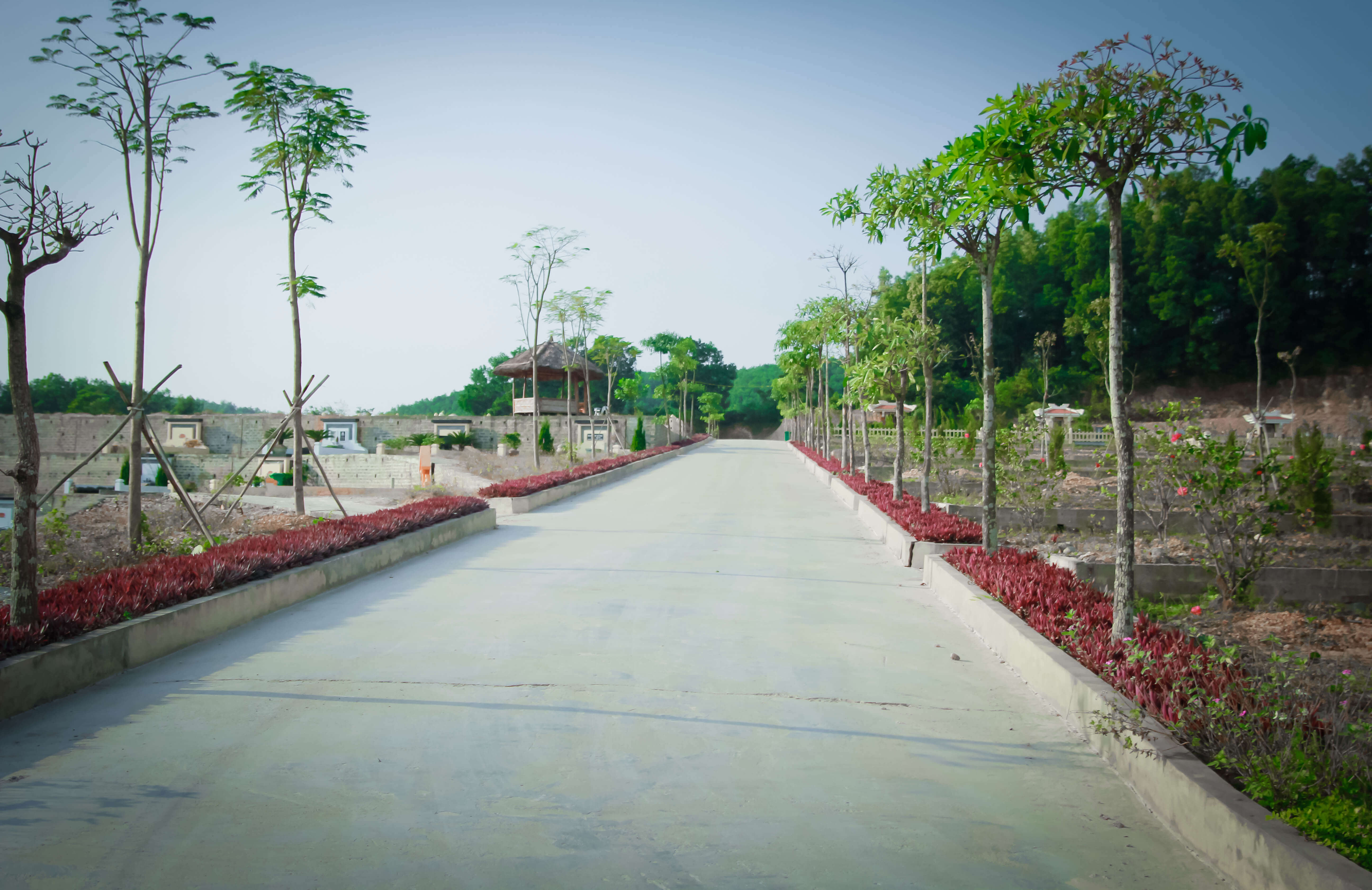 hệ thống giao thông tại lạc hồng viên (4)
