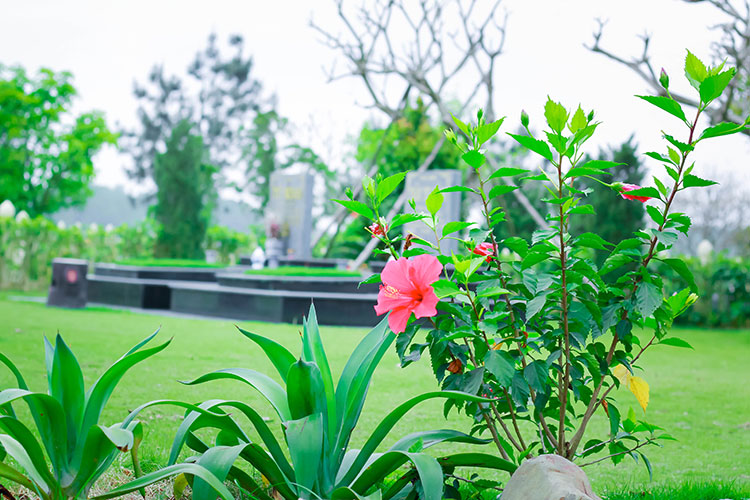 Lạc Hồng Viên tháng 3/2018