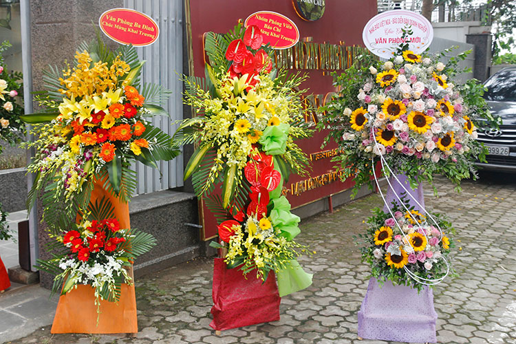 khai trương văn phòng công ty toàn cầu 4